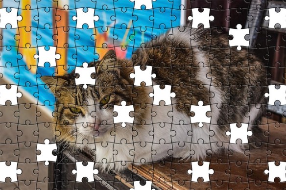 Free Puzzle - Domestic Cat